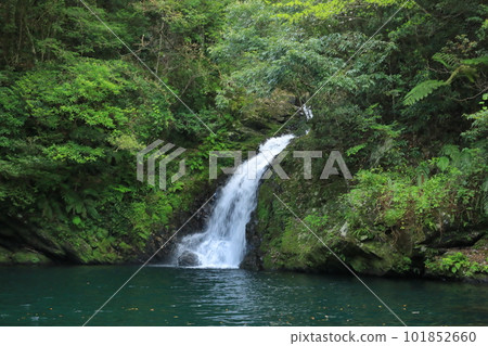 Amami Oshima Materiya 瀑布的美麗景色被新鮮的綠色植物包圍 Amami Oshima Materiya 瀑布的美麗景色被新鮮的綠色植物包圍 101852660