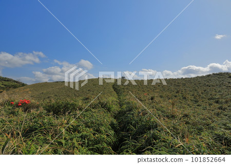 宮古崎、奄美大島通往藍天的琉球朝路風景 宮古崎、奄美大島通往藍天的琉球朝路風景 101852664