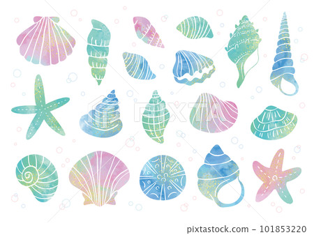 貝殼和海星/水彩風格的手繪矢量插圖，閃閃發光 101853220