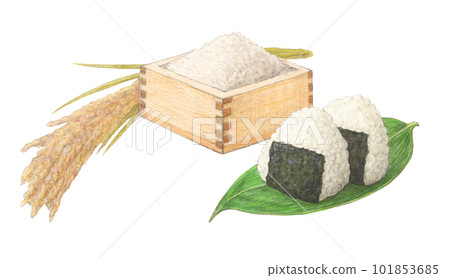 Rice set watercolor pencil analog illustration Rice set watercolor pencil analog illustration 101853685