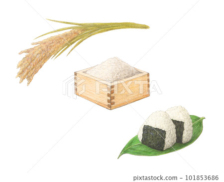 Rice set watercolor pencil analog illustration Rice set watercolor pencil analog illustration 101853686