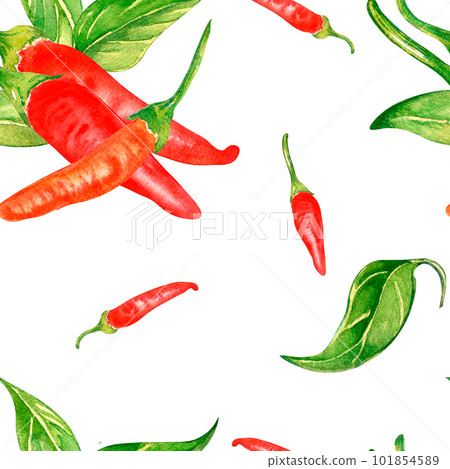 Tabasco hot pepper and leaves watercolor seamless pattern isolated on white. Tabasco hot pepper and leaves watercolor seamless pattern isolated on white. 101854589