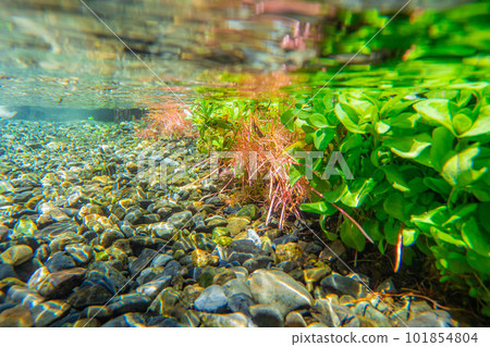 [Summer material] Waterside and underwater material [Nagano Prefecture] 101854804