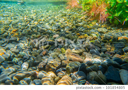 [Summer material] Waterside and underwater material [Nagano Prefecture] 101854805
