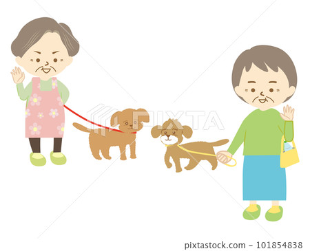 A senior woman waving to a neighbor while walking her small pet dog (3) 101854838