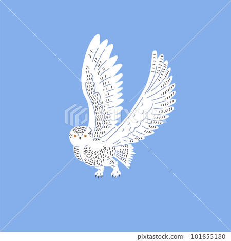 Flying snowy owl flat style, vector illustration isolated on blue background Flying snowy owl flat style, vector illustration isolated on blue background 101855180