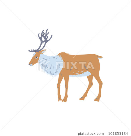 Standing reindeer arctic animal side view flat style 101855184