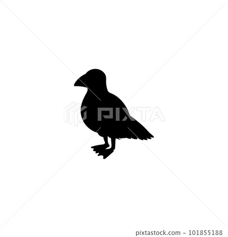 Seagull or gull bird black silhouette monochrome vector illustration isolated. 101855188