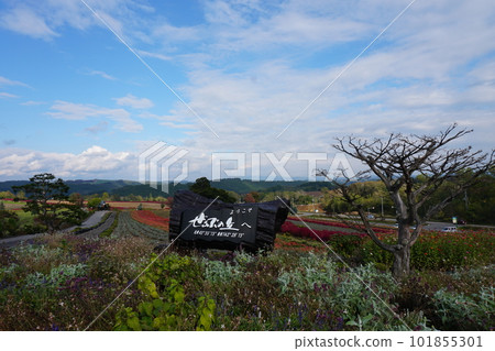 Superb view. Zerb Hill Superb view. Zerb Hill 101855301