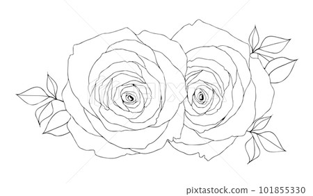 玫瑰花束手繪線描插圖 101855330