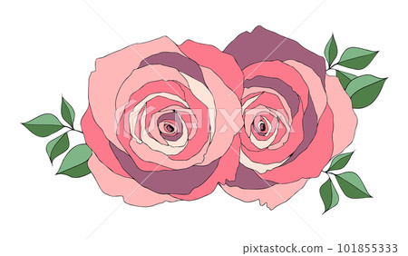 粉色玫瑰花束插畫 粉色玫瑰花束插畫 101855333
