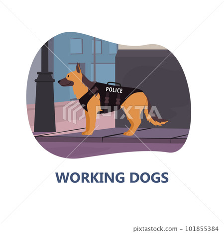 Working dogs serving and assisting people, banner vector illustration isolated. Working dogs serving and assisting people, banner vector illustration isolated. 101855384