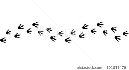 Dragon footprint line. Hand drawn dinosaur paw prints. Dragon foot silhouette. Dino cute trail texture. Vector illustration isolated on white background Dragon footprint line. Hand drawn dinosaur paw prints. Dragon foot silhouette. Dino cute trail texture. Vector illustration isolated on white background 101855476