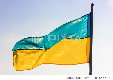 A beautiful yellow and blue flag of Ukraine on flagpole fluttering, waving in a wind against a light sky at sunny day. The national symbol of the country's independence. Identity, patriotism concept. A beautiful yellow and blue flag of Ukraine on flagpole fluttering, waving in a wind against a light sky at sunny day. The national symbol of the country's independence. Identity, patriotism concept. 101855688