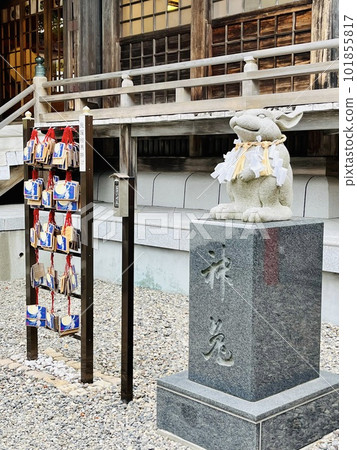 Stroking rabbits and divine rabbits watching over the precincts of Yukura Shrine <Hakodate City, Hokkaido> 101855817