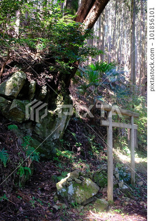 白蛇岩和鳥居,高野朝聖之路,鎮石路(和歌山縣,高野山)2 白蛇岩和鳥居,高野朝聖之路,鎮石路(和歌山縣,高野山)2 101856101