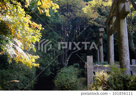 二津鳥居、高野朝聖之路、鎮石路(和歌山縣、高野山) 二津鳥居、高野朝聖之路、鎮石路(和歌山縣、高野山) 101856111