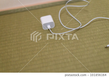 japanese-style room, tatami, tatami mat 101856164