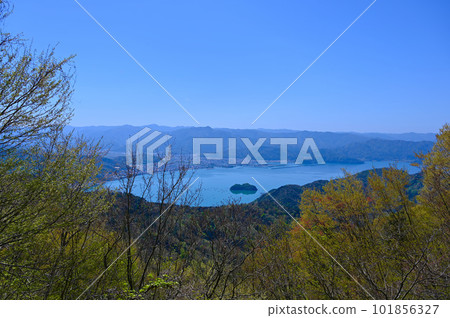 天使線奧巴馬灣景觀奧巴馬市 天使線奧巴馬灣景觀奧巴馬市 101856327