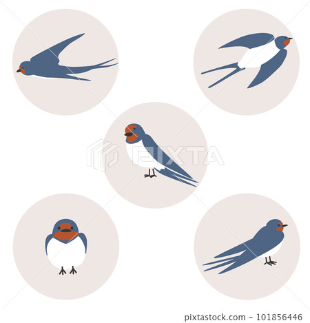 Tsubame illustration set Tsubame illustration set 101856446