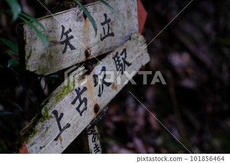 Yatate/Kamikosawa Station Signboard/Koya Pilgrimage Route/Machiishimichi (Koyasan, Wakayama Prefecture) Yatate/Kamikosawa Station Signboard/Koya Pilgrimage Route/Machiishimichi (Koyasan, Wakayama Prefecture) 101856464