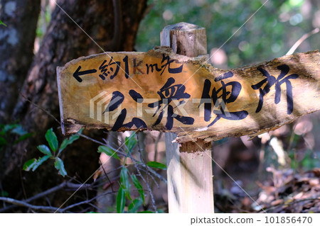 公共廁所的招牌,高野朝聖之路,城鎮石板路(和歌山縣,高野山) 公共廁所的招牌,高野朝聖之路,城鎮石板路(和歌山縣,高野山) 101856470