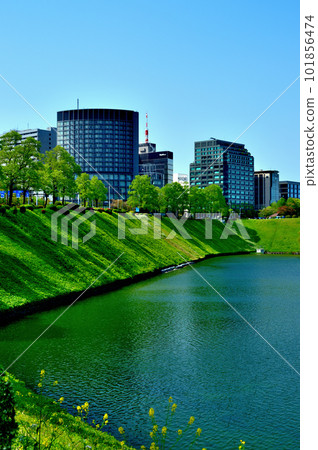 Beautiful fresh green azaleas blooming in the Imperial Palace Sakurada Moat and the scenery of the broadcasting station 101856474