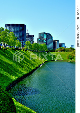 盛開在皇宮櫻田護城河和廣播電颱風景中的美麗新鮮綠色杜鵑花 盛開在皇宮櫻田護城河和廣播電颱風景中的美麗新鮮綠色杜鵑花 101856480