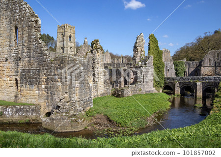 Fountains Abbey - Yorkshire - United Kingdom 101857002