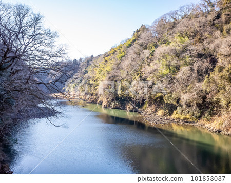 [日本] 相模湖水面，枯樹和湛藍的天空 101858087
