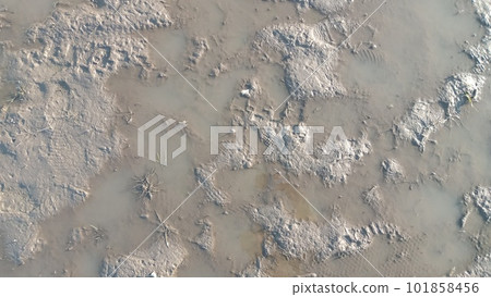 Dirty wet sand, grunge horizontal shabby background close-up. Blurry image of sand pattern. Abstract nature background. 101858456