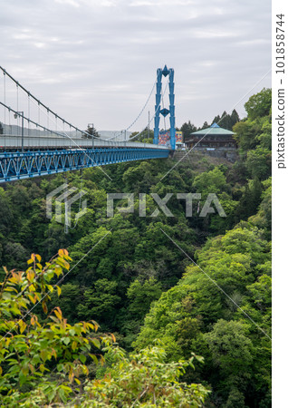 Hitachiota City, Ibaraki Prefecture Ryujin Suspension Bridge in fresh greenery 101858744