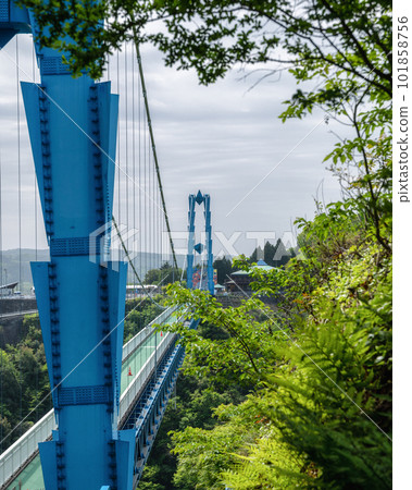 Hitachiota City, Ibaraki Prefecture Ryujin Suspension Bridge in fresh greenery 101858756