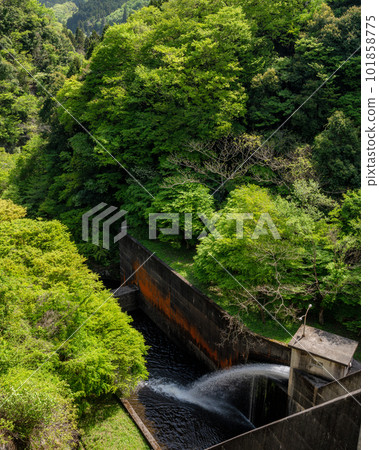 茨城縣常陸太田市綠意盎然的龍神吊橋 茨城縣常陸太田市綠意盎然的龍神吊橋 101858775