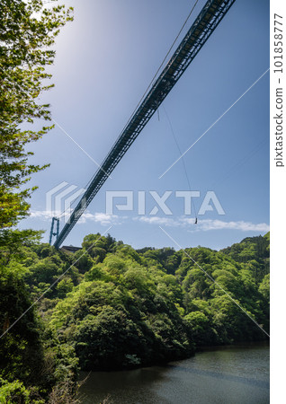 茨城縣常陸太田市綠意盎然的龍神吊橋 茨城縣常陸太田市綠意盎然的龍神吊橋 101858777