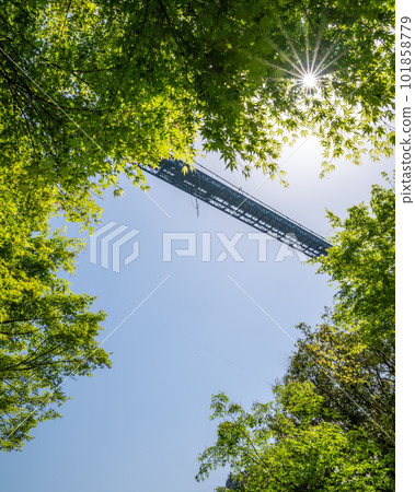 Hitachiota City, Ibaraki Prefecture Ryujin Suspension Bridge in fresh greenery 101858779