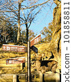站在奈良公園旅遊信息標誌下的鹿<奈良/奈良公園> 101858811