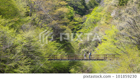 A couple enjoying hiking A couple enjoying hiking 101859230