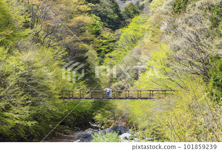 A couple enjoying hiking 101859239