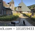 秋天陽光明媚的午後，一隻黑貓在 Lamune 溫泉散步 <Oita Nagayu Onsen> 101859433