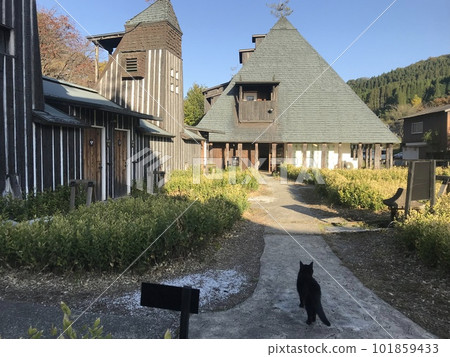 秋天陽光明媚的午後，一隻黑貓在 Lamune 溫泉散步 <Oita Nagayu Onsen> 101859433