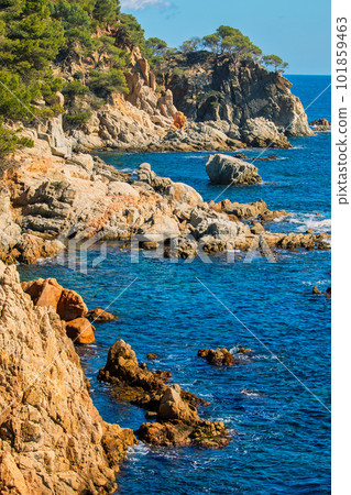 Nice detail of the Spanish coast in Costa Brava, near town Palamos 101859463