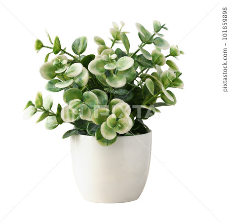 Green and white artificial plant with small leaves in a plastic pot isolated on white Green and white artificial plant with small leaves in a plastic pot isolated on white 101859898