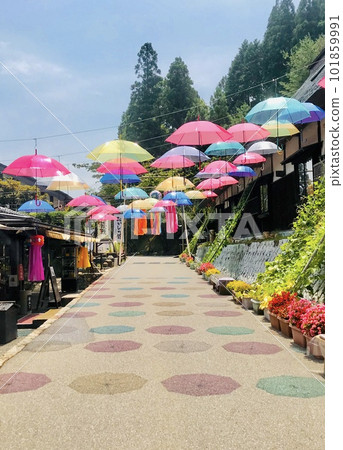 湯之國森林明亮的傘天路<石川縣/小松市> 101859991