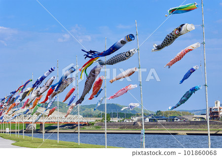 A tradition of spring!　Carp streamers on the riverbed of the Kawauchi River 101860068
