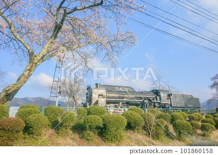 Degoichi of Kojinyama Sports Park [Spring] 101860158