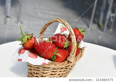 Strawberry picking Strawberry picking 101860575