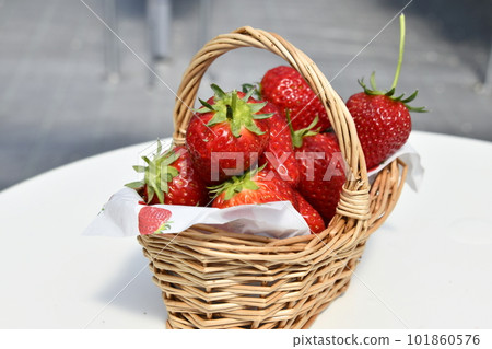 Strawberry picking Strawberry picking 101860576