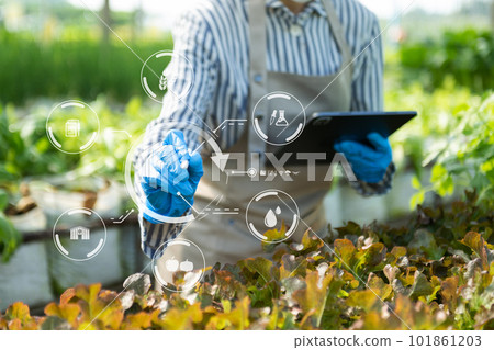 Woman hands gardening lettuce in farm with growth process and chemical formula on green background. Woman hands gardening lettuce in farm with growth process and chemical formula on green background. 101861203