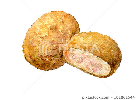 肉排水彩插圖手繪插圖 101861544